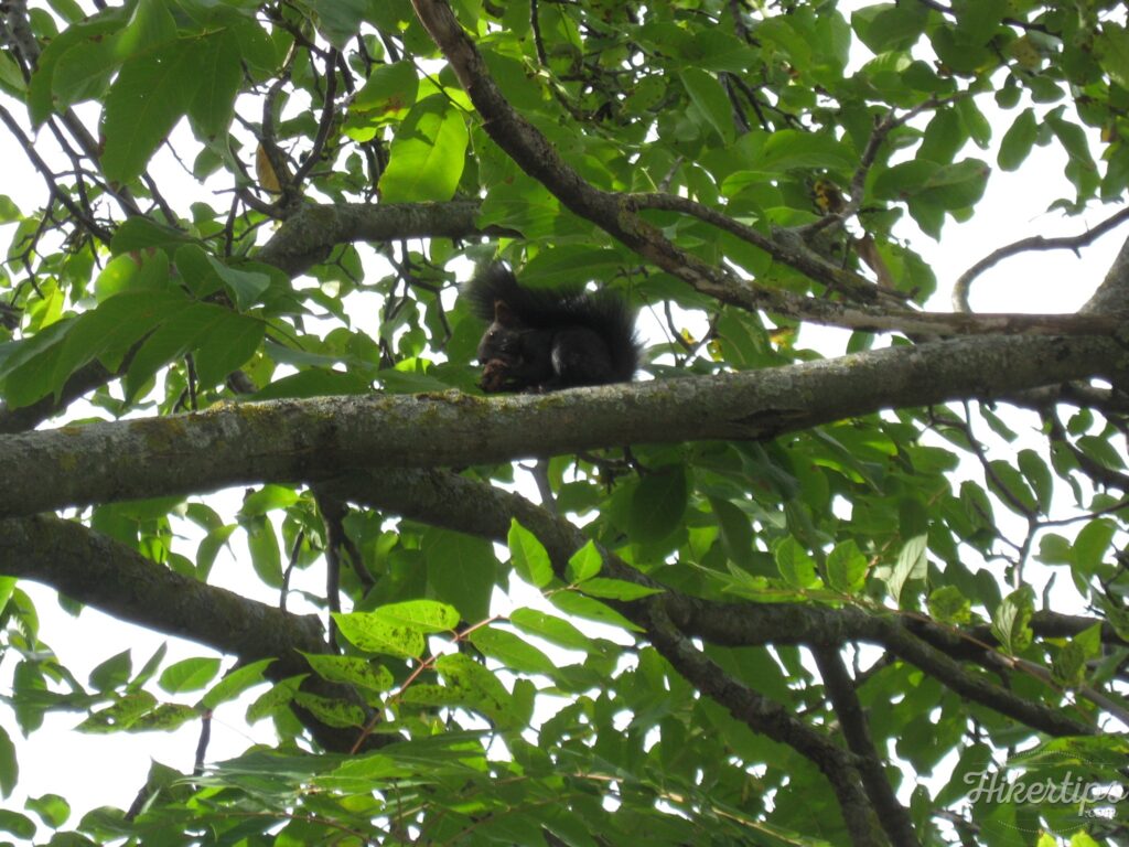 Palaios Panteleimonas