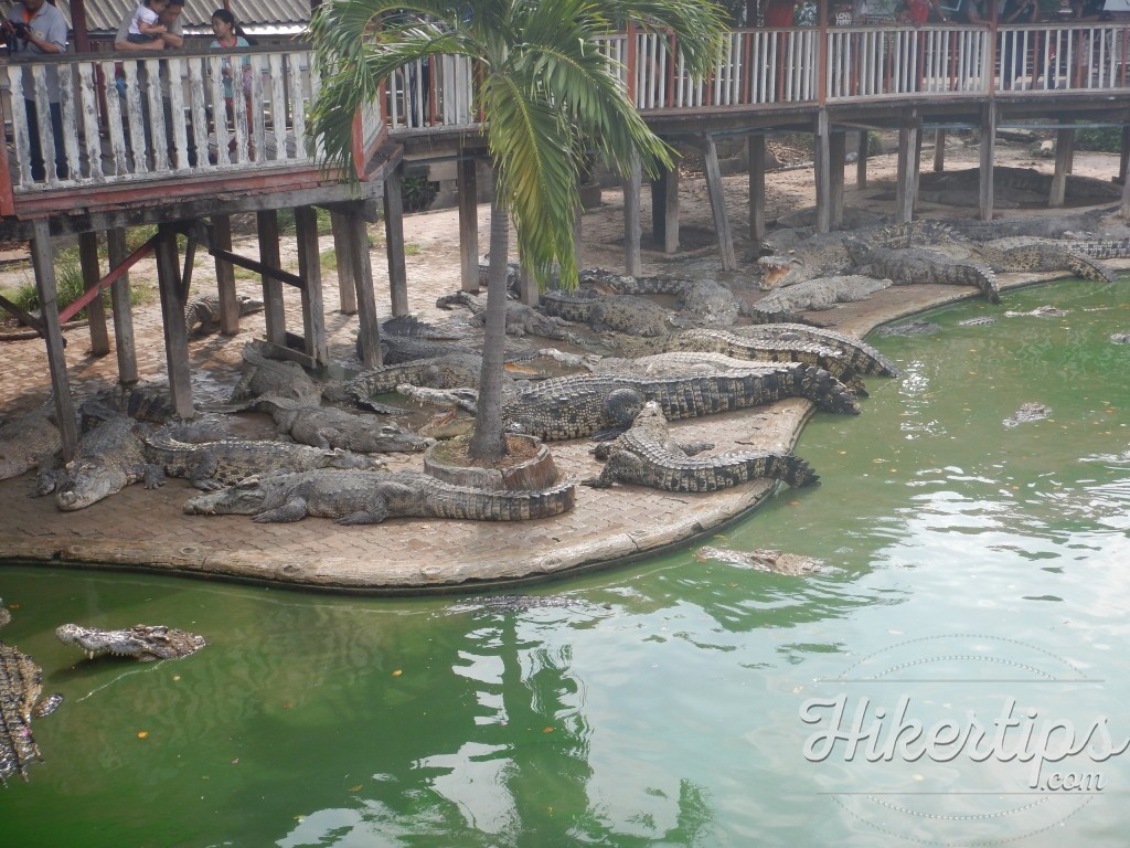 Samutprakarn Crocodile Zoo and Farm