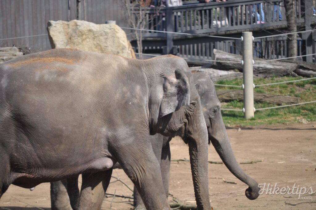 Prague Zoo