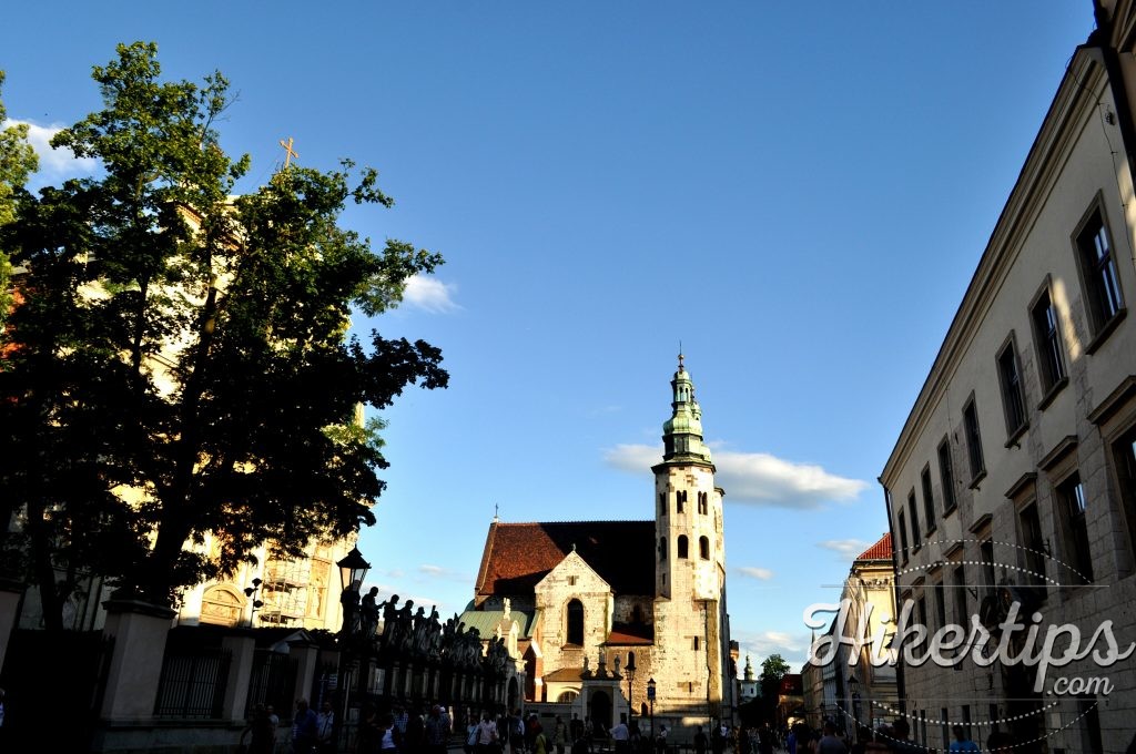 The Church of Saint Peter and Saint Paul,Krakow