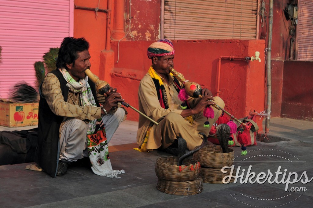 7 things you could do in Jaipur